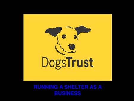 RUNNING A SHELTER AS A BUSINESS