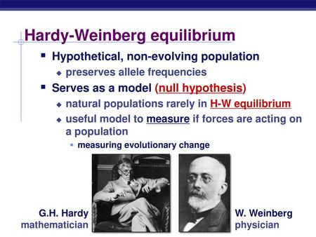 Hardy-Weinberg equilibrium