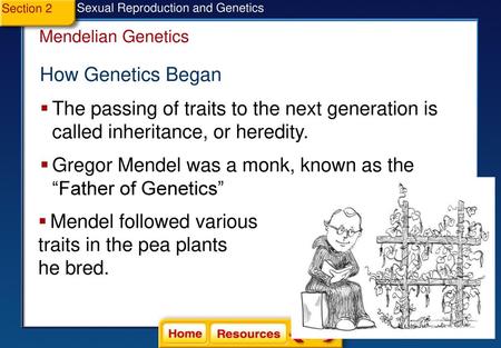 Gregor Mendel was a monk, known as the “Father of Genetics”