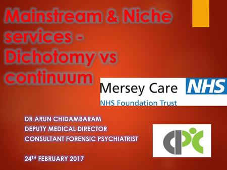 Mainstream & Niche services - Dichotomy vs continuum