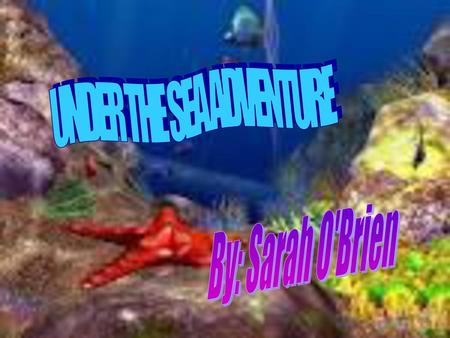 UNDER THE SEA ADVENTURE