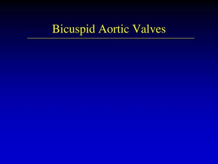 Bicuspid Aortic Valves