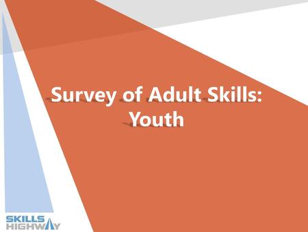 Survey of Adult Skills: Youth