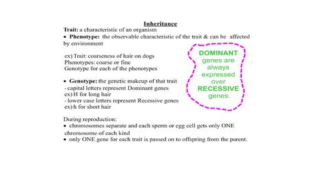 Observed trait (phenotype) that is nor suppressed Question Mom has black hair & Dad has blonde hair therefore, child has_____ hair. Dog with a long.