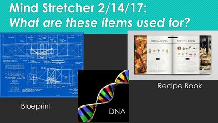 Mind Stretcher 2/14/17: What are these items used for?