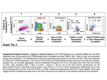 Suppl. Fig x106 Culture of Irradiated A-CFSE