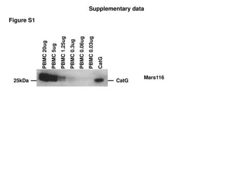 Supplementary data Figure S1 PBMC 20ug PBMC 5ug PBMC 1.25ug PBMC 0.3ug