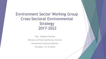 Environment Sector Working Group  Cross-Sectoral Environmental Strategy