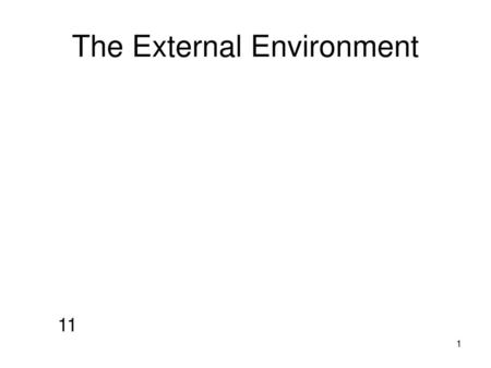 The External Environment