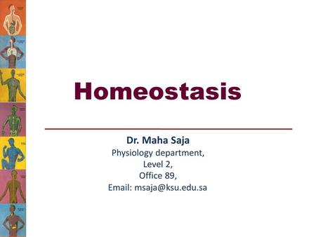 Homeostasis Dr. Maha Saja Physiology department, Level 2, Office 89,