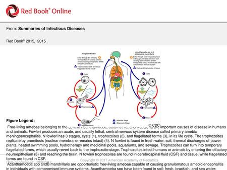 Copyright © 2017 American Academy of Pediatrics.