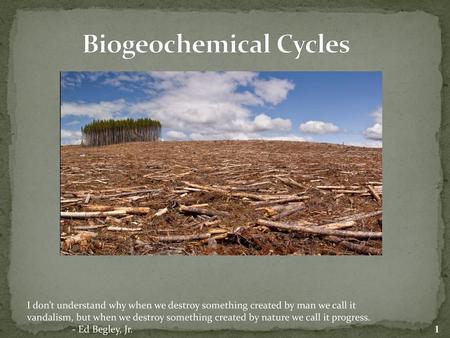 Biogeochemical Cycles