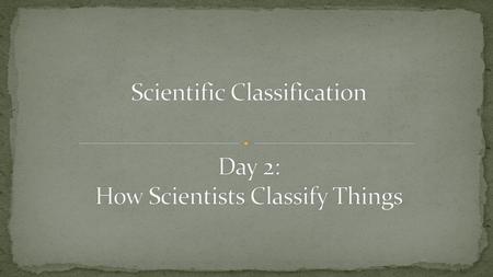 Scientific Classification