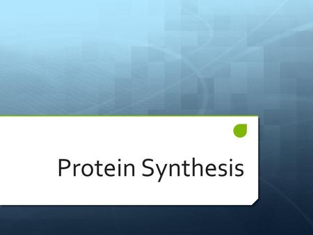 Protein Synthesis.