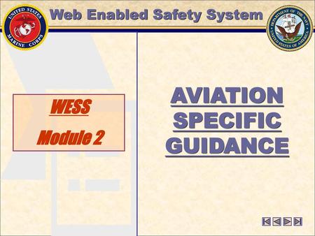 AVIATION SPECIFIC GUIDANCE