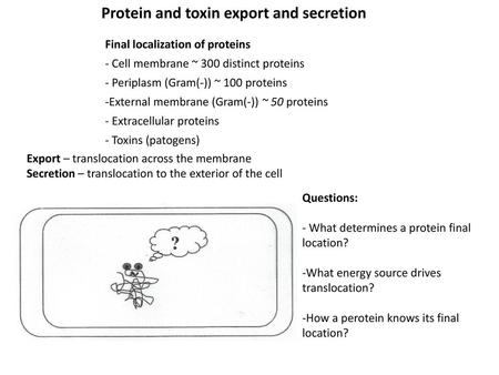 Protein and toxin export and secretion