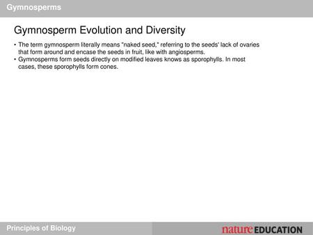 Gymnosperm Evolution and Diversity