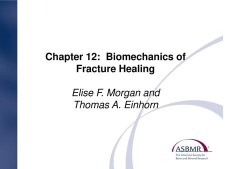 Chapter 12: Biomechanics of Fracture Healing