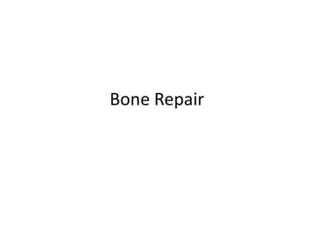 Bone Repair.