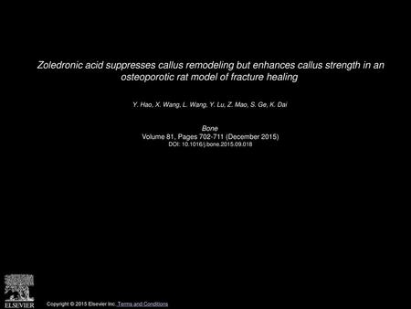 Zoledronic acid suppresses callus remodeling but enhances callus strength in an osteoporotic rat model of fracture healing  Y. Hao, X. Wang, L. Wang,