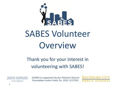 SABES Volunteer Overview