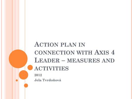 Action plan in connection with Axis 4 Leader – measures and activities