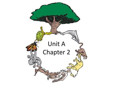 Unit A Chapter 2.