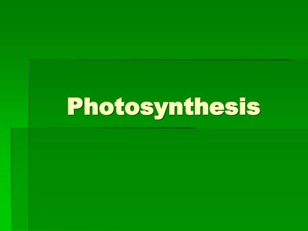 Photosynthesis.