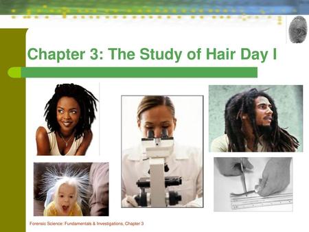 Chapter 3: The Study of Hair Day I