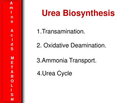 Urea Biosynthesis Transamination. 2. Oxidative Deamination.