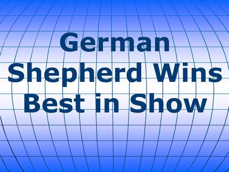 German Shepherd Wins Best in Show