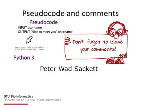 Pseudocode and comments