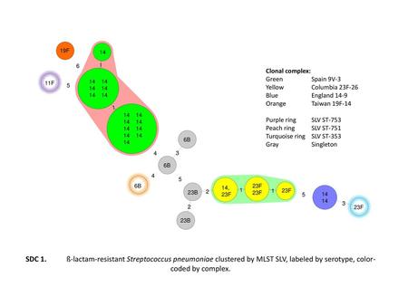 19F 14 6 6 6 6 6 6 6 6 6 1 1 1 1 1 1 1 1 1 Clonal complex: Green	 Spain 9V-3 Yellow	 Columbia 23F-26 Blue	 England 14-9 Orange	 Taiwan 19F-14 Purple.