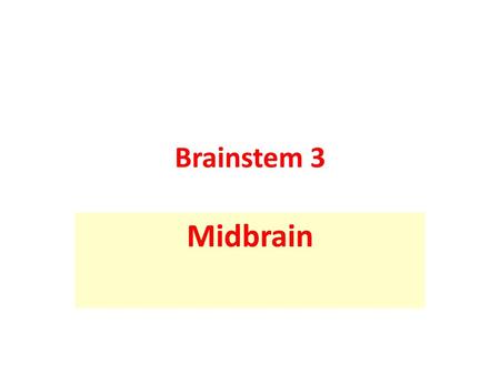 Brainstem 3 Midbrain.