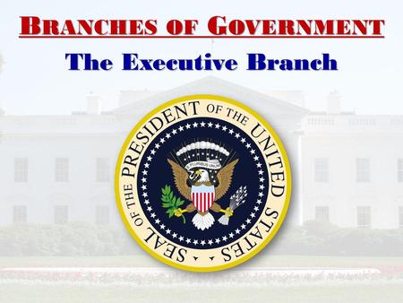 Branches of Government