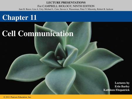 Chapter 11 Cell Communication.