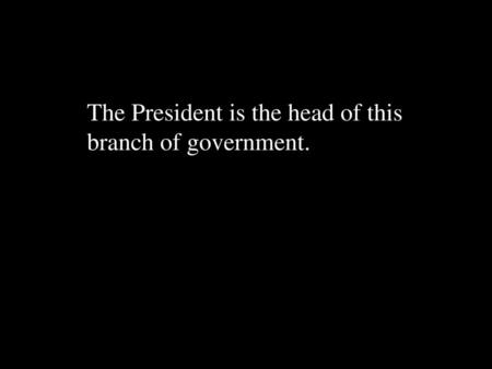 The President is the head of this branch of government.