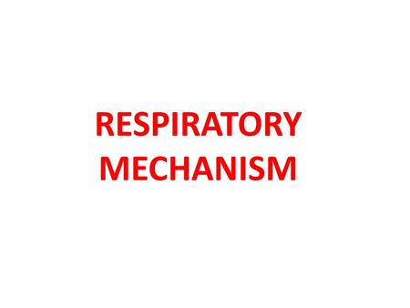 RESPIRATORY MECHANISM