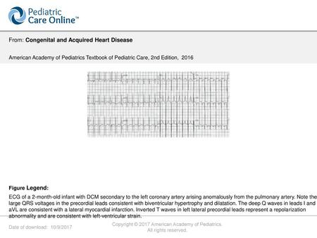 Copyright © 2017 American Academy of Pediatrics.
