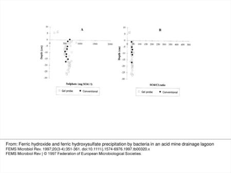 Figure 1 Porewater profiles of (A) dissolved sulfate concentration versus depth in the Whitworth Lagoon sediment and (B) sulfate/chloride ratios versus.