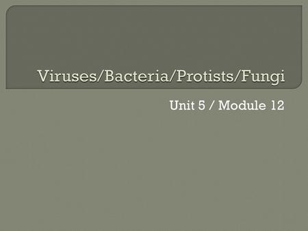 Viruses/Bacteria/Protists/Fungi