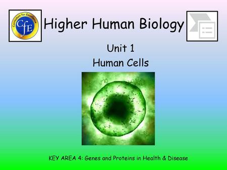 KEY AREA 4: Genes and Proteins in Health & Disease