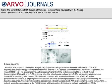 Invest. Ophthalmol. Vis. Sci ;48(1):1-10. doi: /iovs Figure Legend: