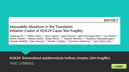 KLHL24: Generalized epidermolysis bullosa simplex (skin fragility)