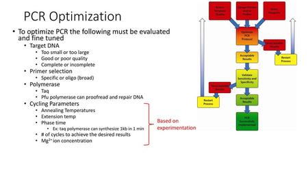 PCR Optimization To optimize PCR the following must be evaluated and fine tuned Target DNA Too small or too large Good or poor quality Complete or incomplete.