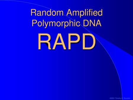 Random Amplified Polymorphic DNA RAPD