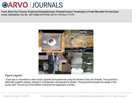 From: Blunt Eye Trauma: Empirical Histopathologic Paintball Impact Thresholds in Fresh Mounted Porcine Eyes Invest. Ophthalmol. Vis. Sci.. 2011;52(8):5157-5166.