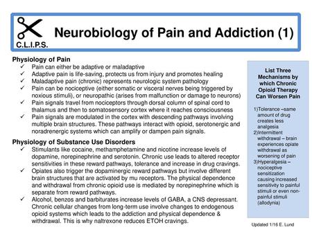 List Three Mechanisms by which Chronic Opioid Therapy Can Worsen Pain