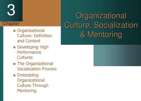 Organizational Culture, Socialization & Mentoring