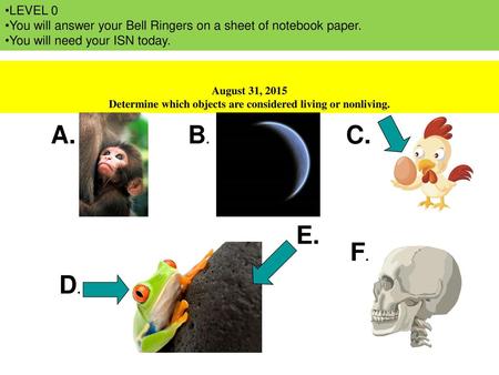 Determine which objects are considered living or nonliving.